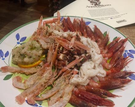 Crudi di mare